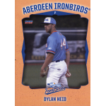 dylan heid 2023 aberdeen ironbirds Aberdeen IronBirds pitcher holding baseball on field, team uniform visible, with cap and player number 44 on back.