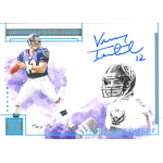 vinny testaverde 2019 panini impeccable indelible ink platinum Football trading card featuring a quarterback in Ravens and Buccaneers uniforms with a blue autograph on top.