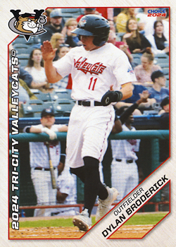 Dylan Broderick baseball cards"